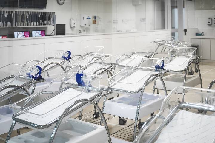 5.7 Million More U.S. Women Than Expected Were Childless in 2024