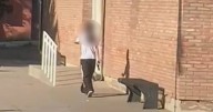 Conmoción en Mendoza: una alumna fue con un arma a la escuela y disparó tres veces