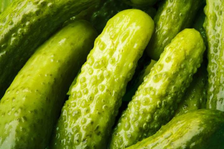 7th annual Pickle Fest will crown Pickle Pup