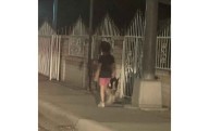 Deambulaba niña de 4 de madrugada con su perro