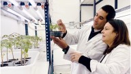 Investigadores del Conicet buscan desarrollar cervezas con propiedades beneficiosas para la salud