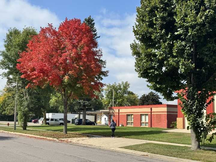 Minn. DNR: ‘There should be plenty of beautiful foliage to enjoy’ this fall