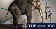 The Age photos of the week, September 27, 2025