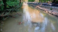 Los organizadores de la Bajada del Canal alertan de obstáculos y basura días antes de la cita
