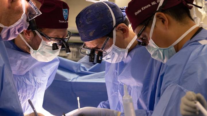 Another New Hampshire man gets a pig kidney as transplant trials are poised to start