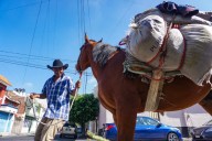 De la montaña a la ciudad: el esfuerzo silencioso de quienes trabajan el campo