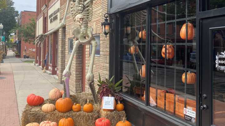 Bone thief returns skeleton arm to Monroe coffee house