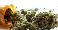 Unlikely allies urge Arizona to fund medical marijuana research