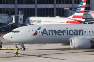 American Airlines Flight Turns Around After 'Multiple Bird Strikes'