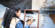 Exhorta Salud Colima a reforzar acciones contra el dengue en temporada de lluvias