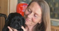 Sonoma County's Dr. Bonnie Bergen reflects on 50 years of service dog concept she began