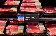 Croacia ordena sacrificar 10.000 cerdos por un nuevo brote de peste porcina africana