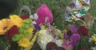 Vigil held for woman killed by dogs in Miami Gardens;  4 animals captured, police say