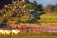 Casanare, un destino turístico seguro