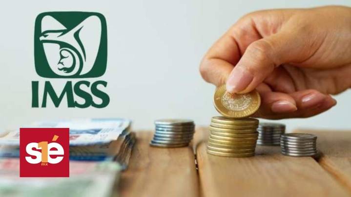 Pensión IMSS: quiénes recibirán aguinaldo en 2025 según la Ley 73 o 97