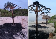 Se incendian palapas en playa para perros; señalan a sujetos