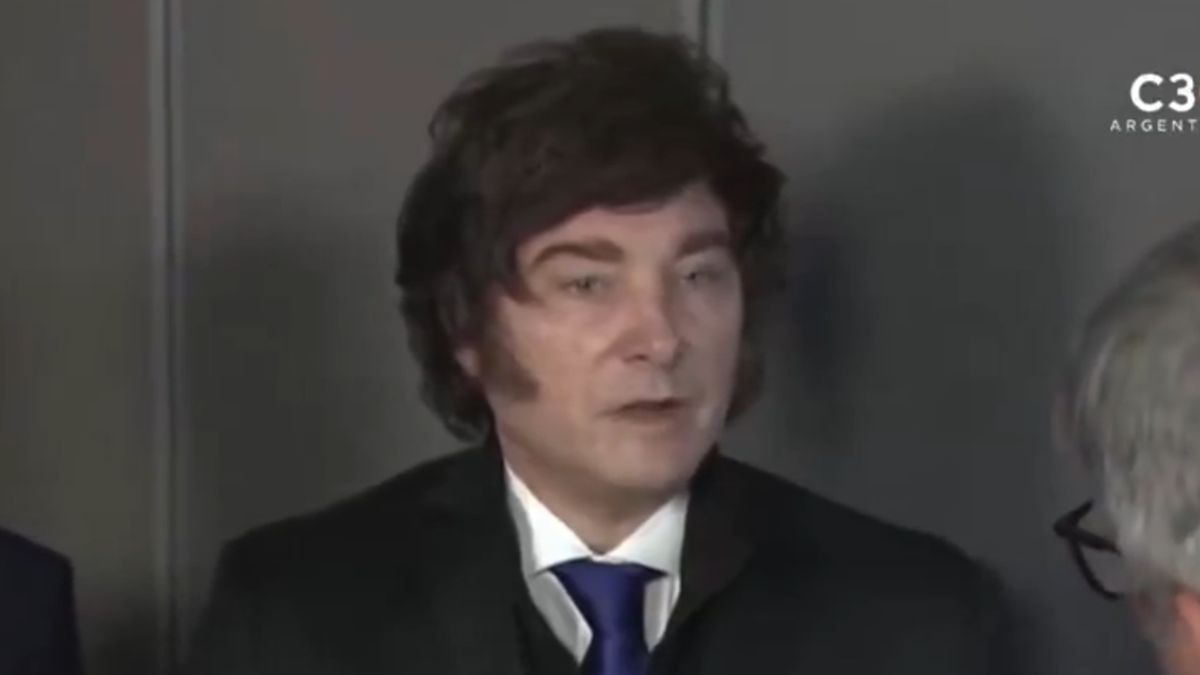 Nueva mentira de Milei sobre subsidios de la ANDIS: "No le quitamos la asistencia a nadie"