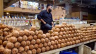 Where have Goa coconuts, integral to its famed fish curry, gone?