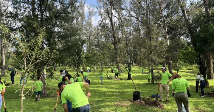 Fundación Traxión y voluntarios suman esfuerzos por el Bosque Los Colomos