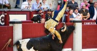 Torero español es corneado y termina de urgencia en el hospital