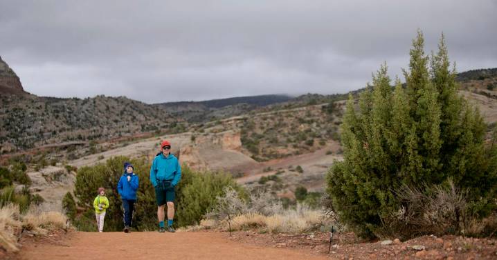 Nature Reset: 15 Minutes outside can transform a child's day