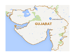 P D Palsana appointed as full-fledged Managing Director of GUEEDC