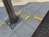 Pedestrian Safety: Wenatchee's Sidewalk Hazard Removal Program