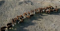 'Confronting' climate impacts in Australia's future