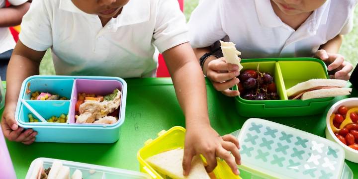 Congreso: Proponen crear un Sistema Nacional de Alimentación Escolar que responda al Parlamento sobre el cumplimiento de metas