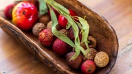 Emma Garlett: First Nations Australians need bigger slice of bush foods pie