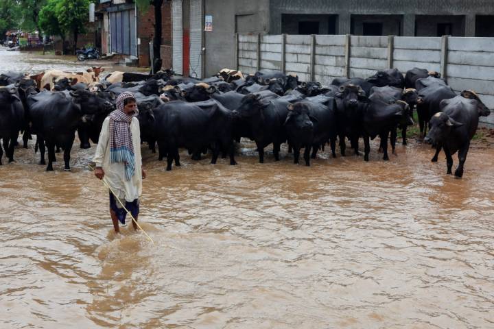 Pakistani rescuers use drones to help evacuate thousands as heavy flooding devastate Punjab