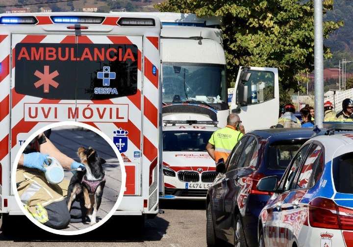Hallan muerto a un camionero en el polígono de Bankunión, en Gijón