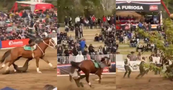 Carabinero sufre grave caída de caballo en pleno show en el Parque Padre Hurtado