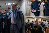Elected officials among dozens of protesters arrested at a Manhattan immigration holding facility