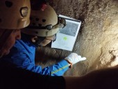 Confirman en cuevas de Málaga el primer lenguaje gráfico sistematizado de neandertales y homo sapiens
