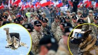Paracaidistas, el último desfile de un valiente perro y más: Estas son las novedades de la Parada Militar 2025