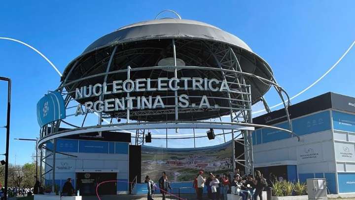 El Gobierno oficializó el remate de nucleoeléctrica