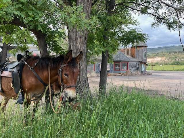 Quirky and historic northern Colorado roadside stops