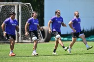 Los Pumas, por la gloria