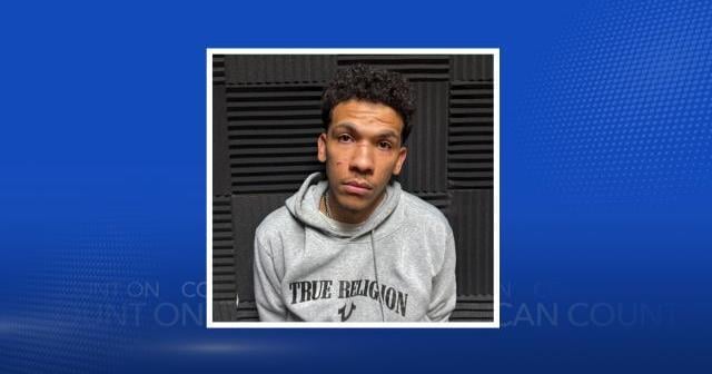 Man faces domestic violence charges in Decatur stabbing