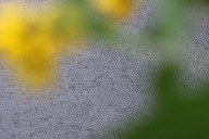 September rain