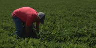 Georgia Agriculture Commissioner announces initiative celebrating Georgia’s veteran farmers
