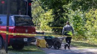 Detached head found in Montreal belonged to 40-year-old man as cops rule out foul play