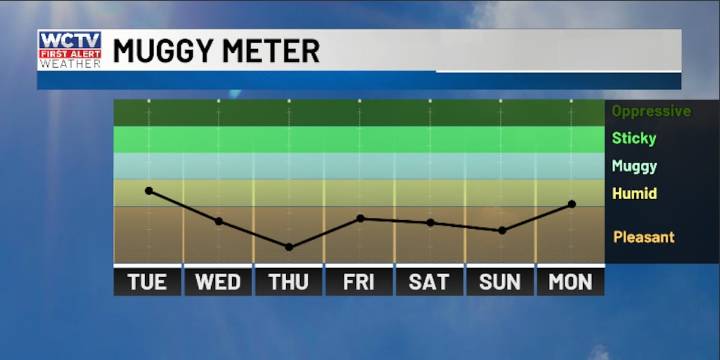 First Alert Daily: Cameron is tracking our next taste of fall 🍂