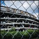 Commanders Promise to Preserve Some of RFK Stadium’s Heritage Trees