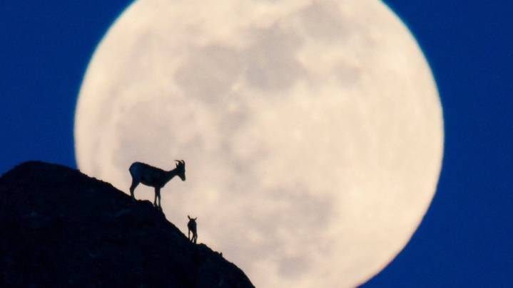 When to see Corn Moon in Illinois. September full moon forecast, viewing spots