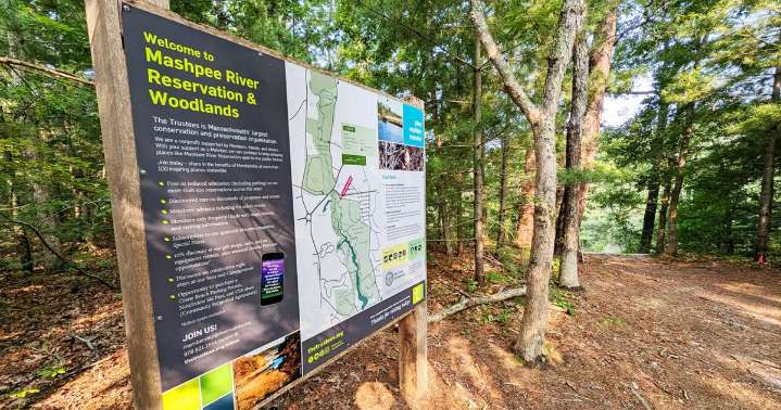 Proposed Scenic Platform Paused While NEMBA, ConCom Consider Options