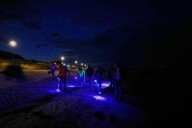 Finding happiness in amber: On Germany’s Baltic coast, people go hunting for the precious pieces