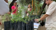 Entrega Vivero Municipal desde árbol de chiltepín hasta palo verde a ciudadanos en última donación de plantas endémicas en Hermosillo