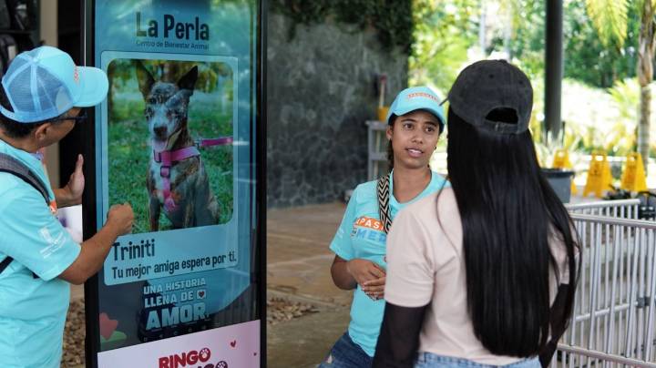 ¡La Perla superó la meta! Emotiva jornada de adopción de mascotas en «amor y amistad»